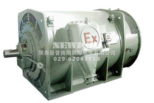 YB355～900系列高壓（6KV、10KV）隔爆型三相異步電動(dòng)機(jī)
