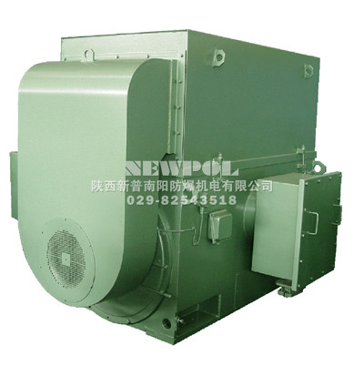 YTM YHP YMPS系列6kv磨煤機(jī)用電動(dòng)機(jī)