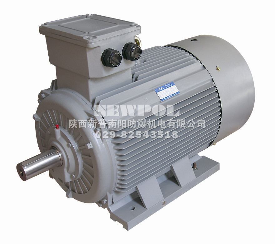Y2系列（355-560）6kv緊湊型高壓異步電動(dòng)機(jī)